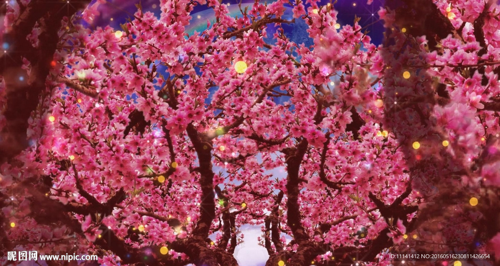 穿越桃花林桃花朵朵開DJ視頻素