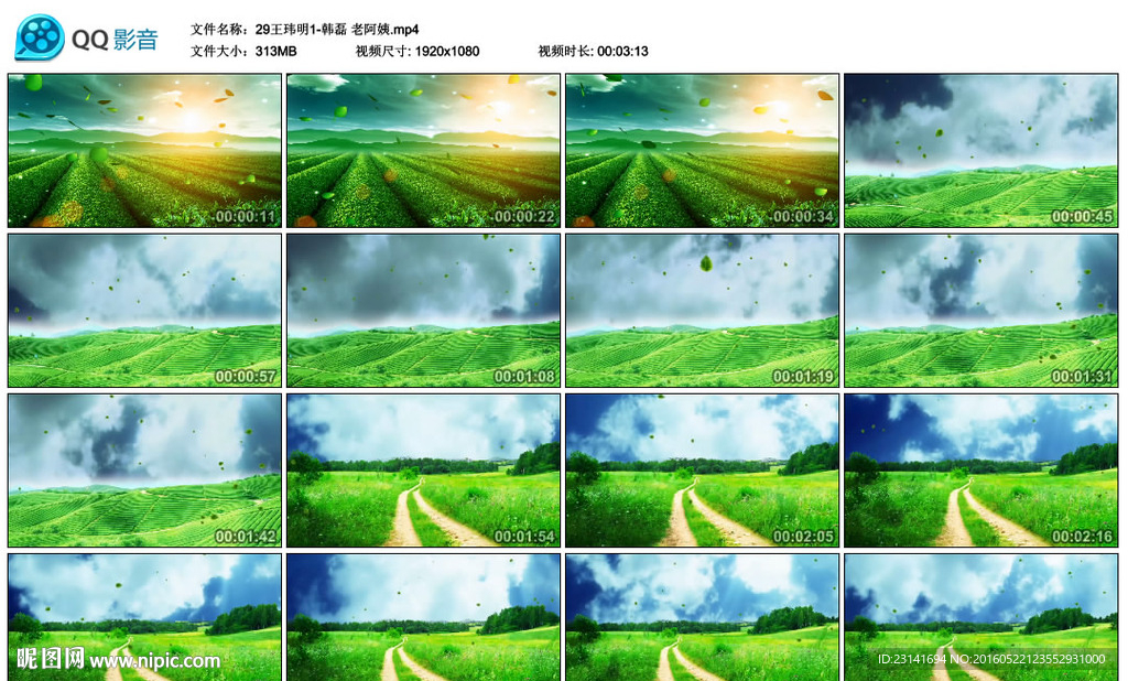 清新綠草地藍天太陽舞臺演出背景