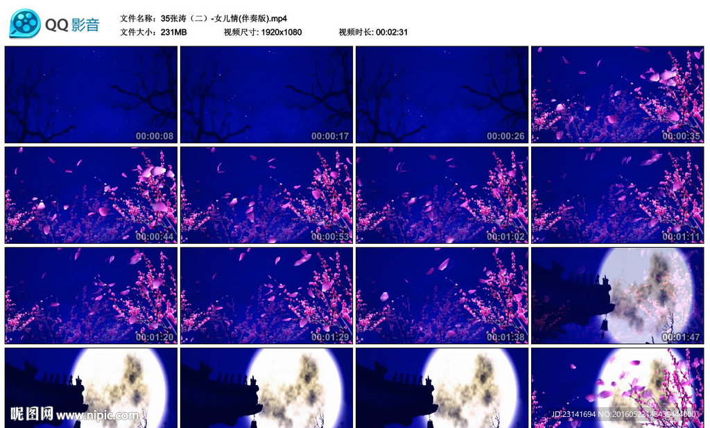 夜晚元月繁星梅花飄落古典LED