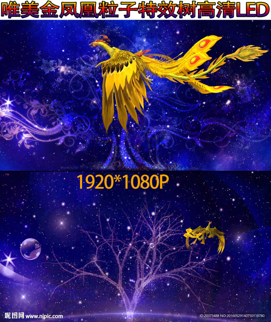 唯美星空粒子樹金鳳凰視頻高清