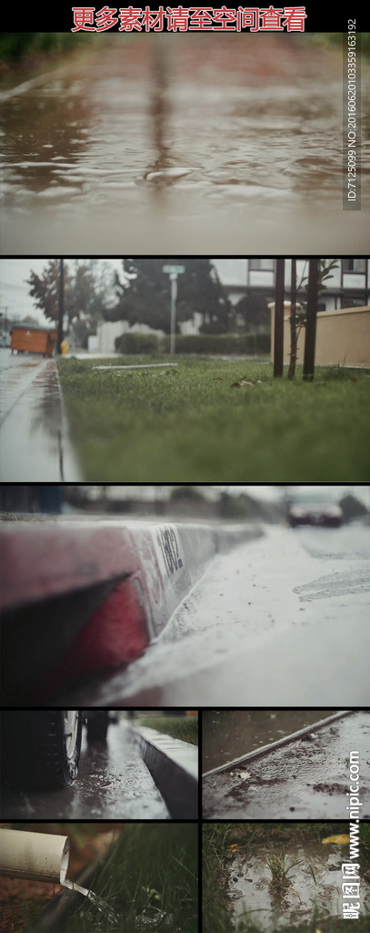 下雨天湿漉的马路边草地高清实拍