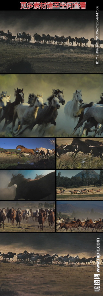 壮观马群奔跑实拍视频素材