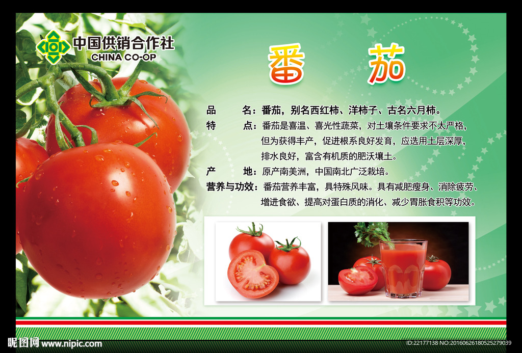 中国供销合作社—— 番茄