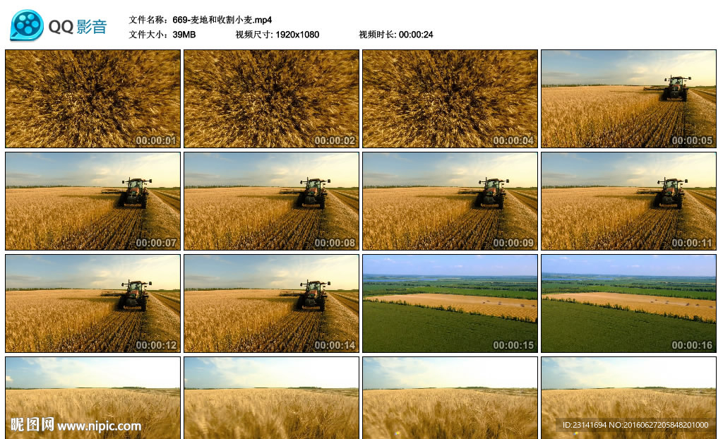 麦地收割小麦影视微电影素材视频