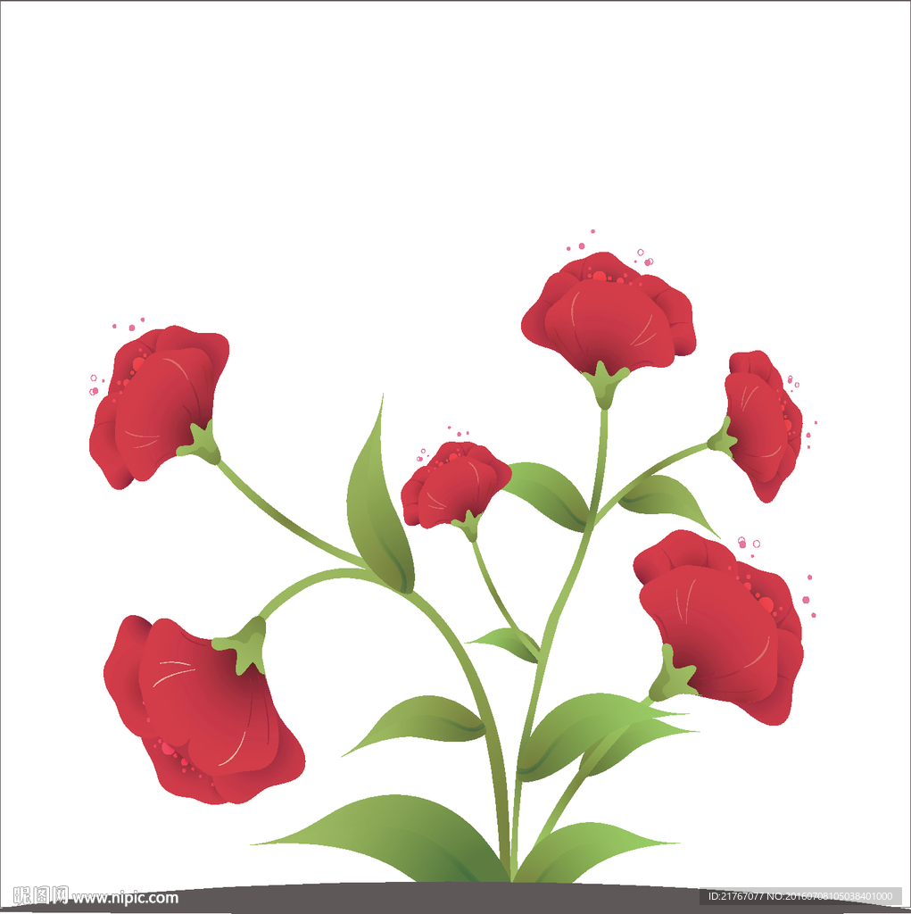 紅冠花