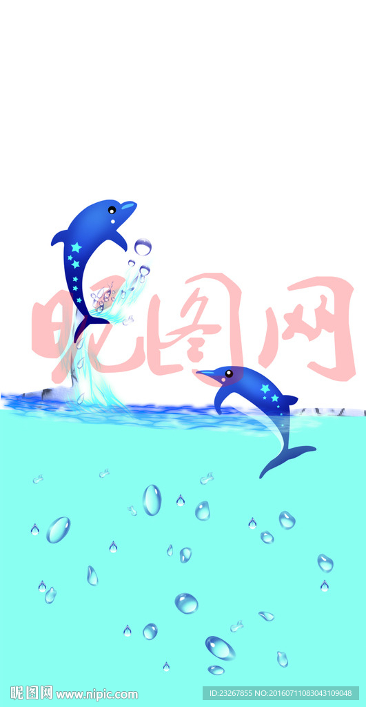 海豚