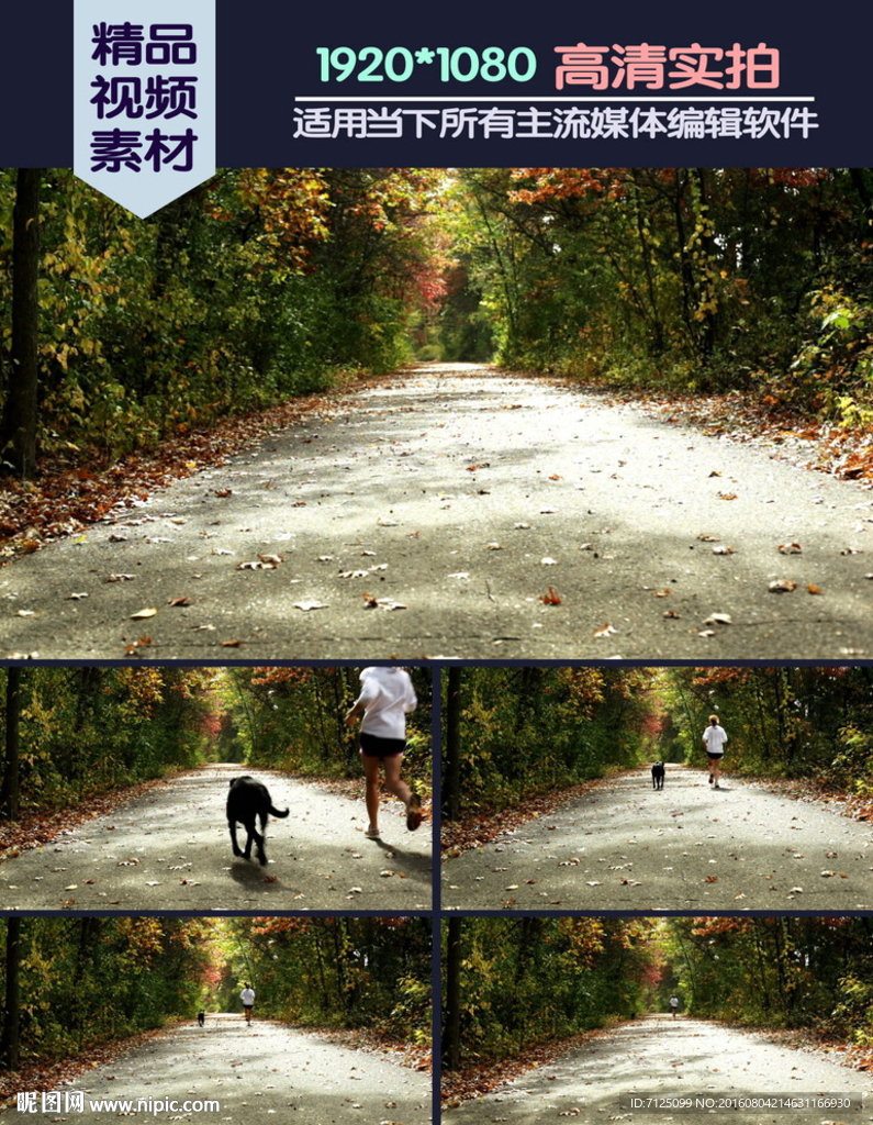 公園帶狗晨跑的女孩