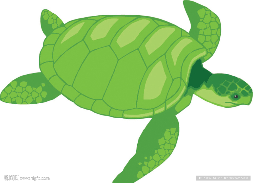 绿色 龟 可爱 卡通 矢量
