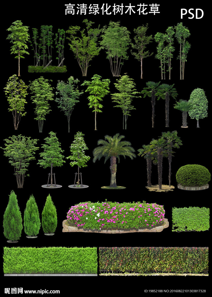 高清绿化树木设计元素