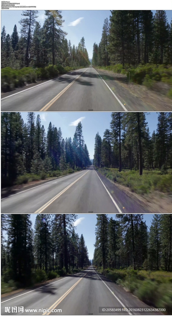 开车驾驶穿越美国森林公路