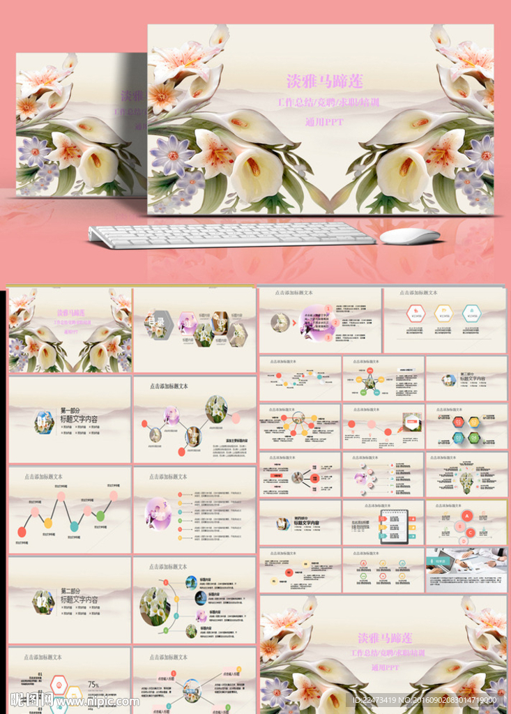 淡雅馬蹄蓮工作總結模板ppt