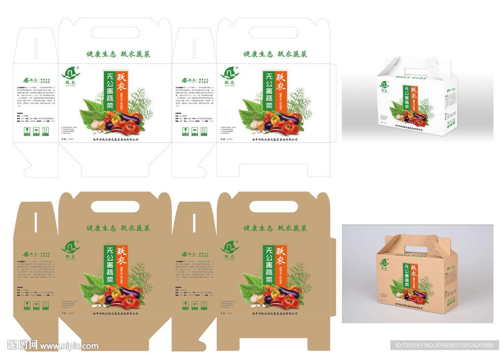 健康蔬菜 礼盒包装纸箱外观矢量