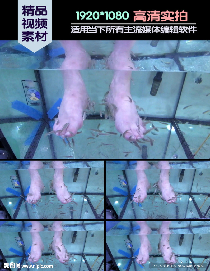 足療魚療