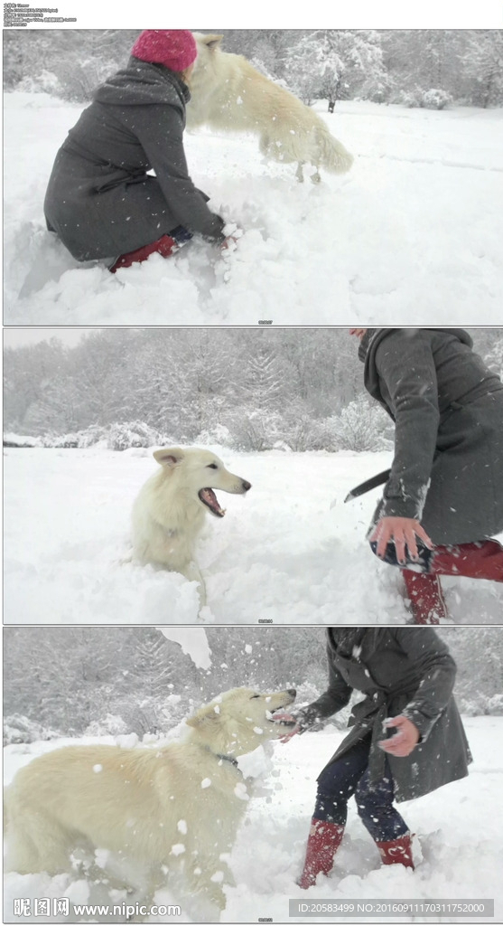 美女和自己的愛寵雪地玩雪