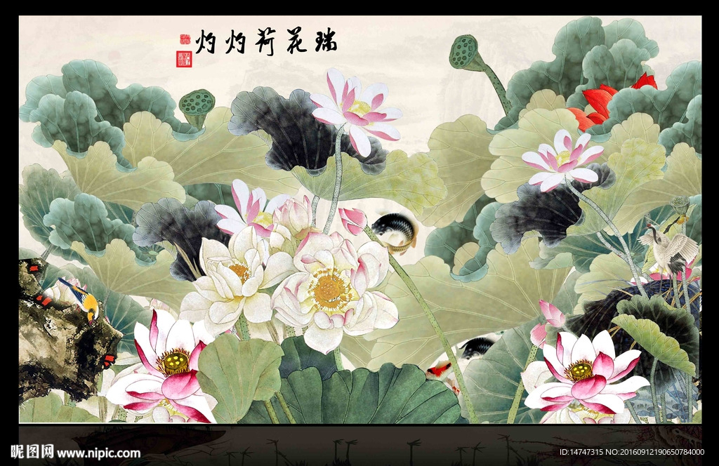 国画荷花图片