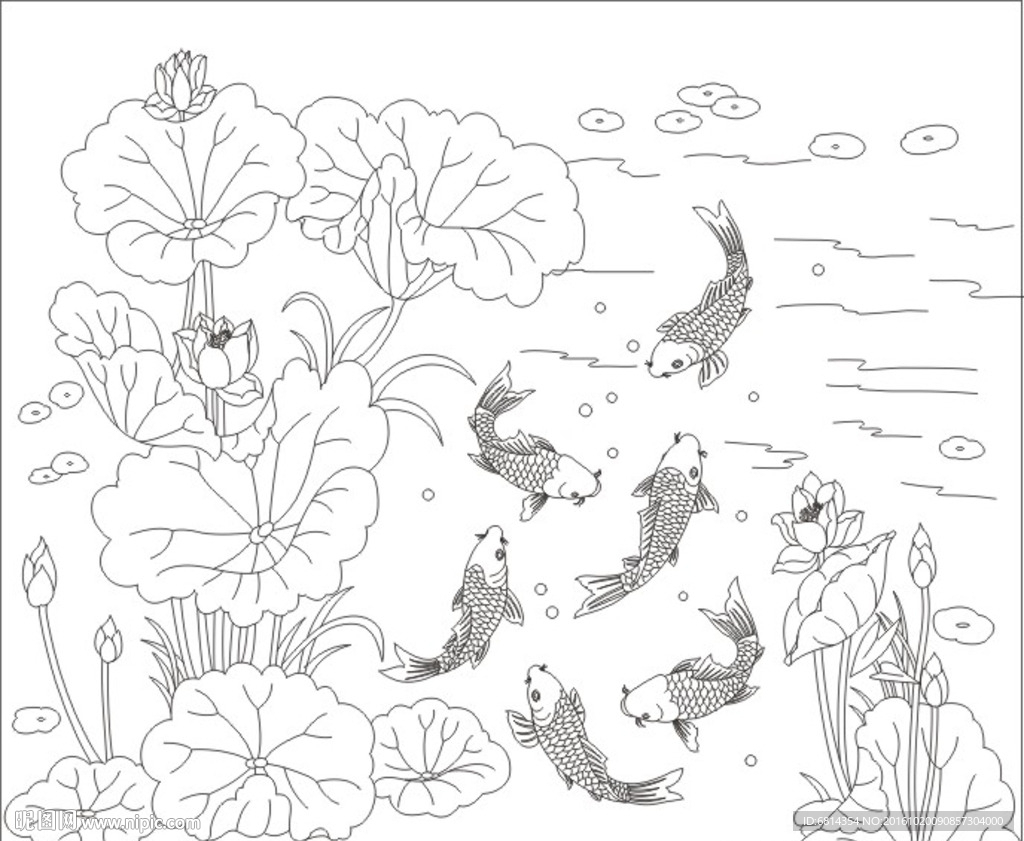 荷花魚