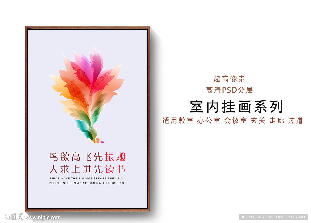 羽毛
