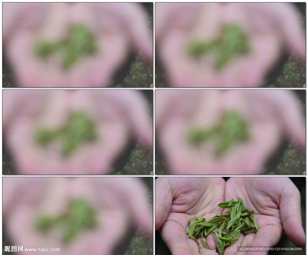 手捧茶葉