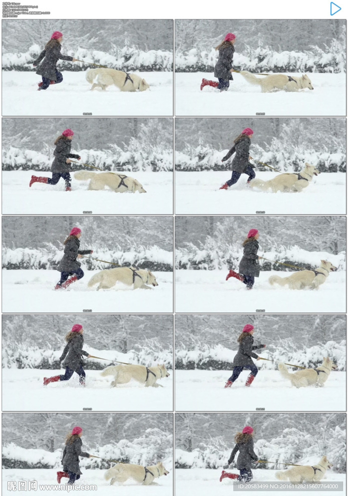 牽著狗狗雪地奔跑