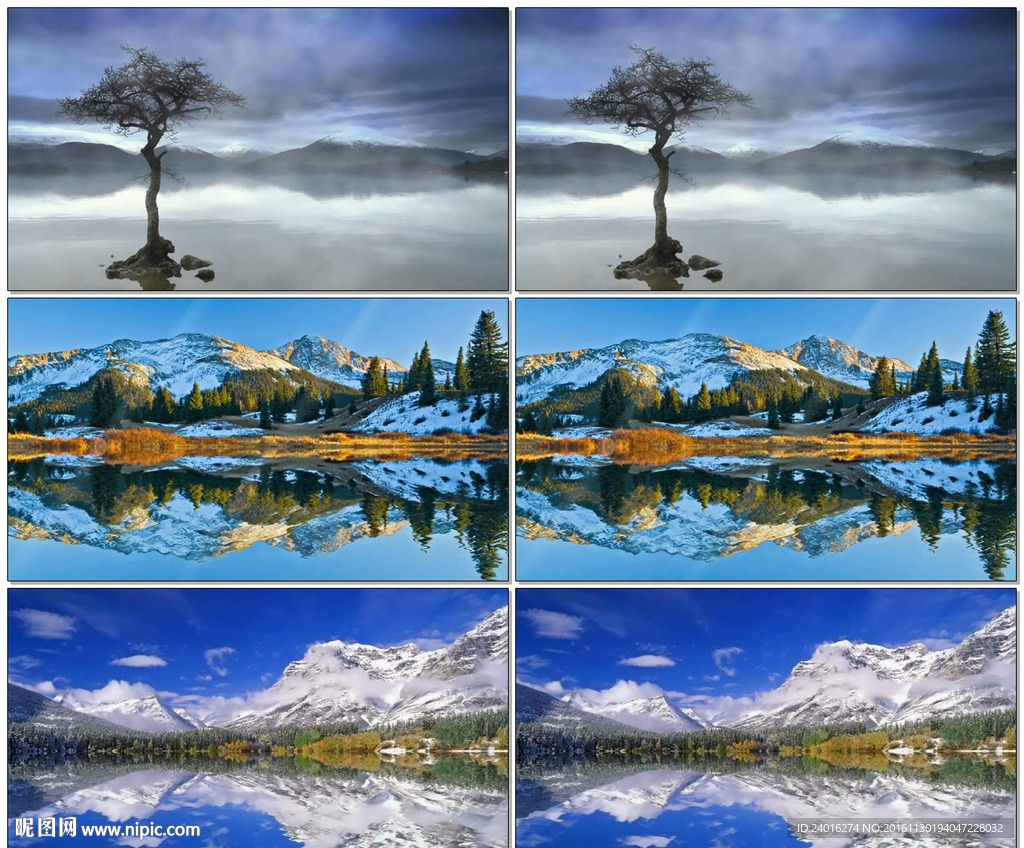 湖心大樹雪山湖水美景