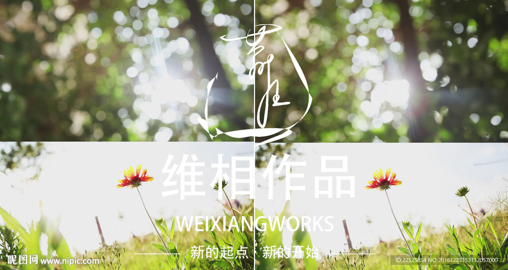 晨曦、野花