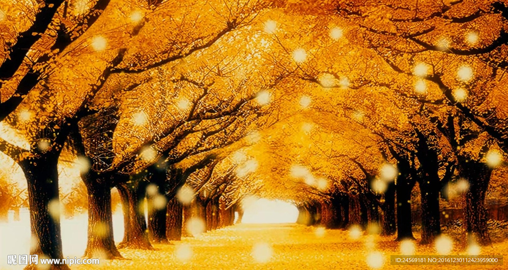 秋叶飘落树叶金秋天枫叶唯美背景