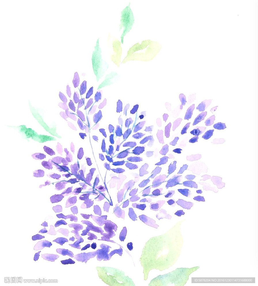 矢量薰衣草
