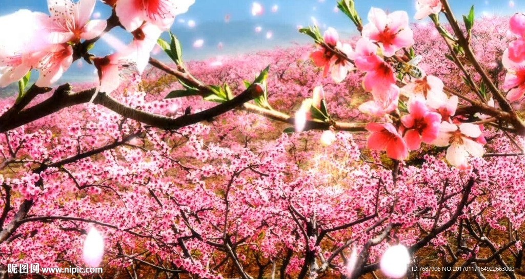 桃花林