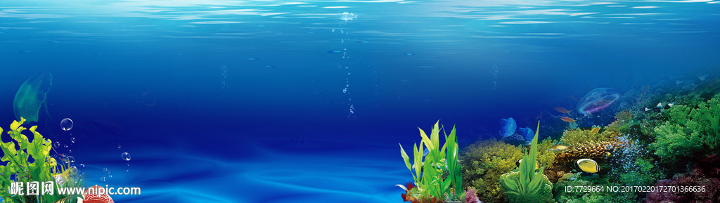 魚群