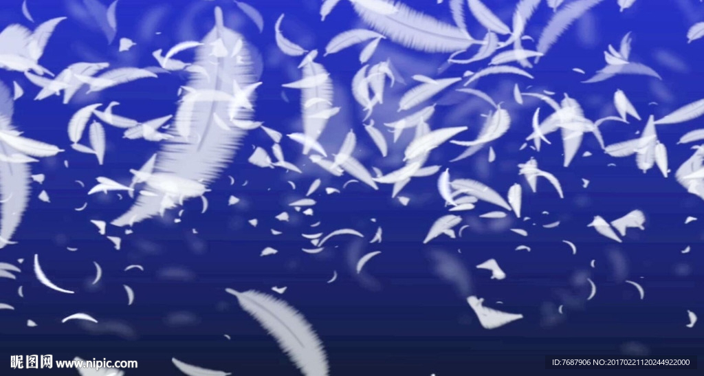 藍色羽毛
