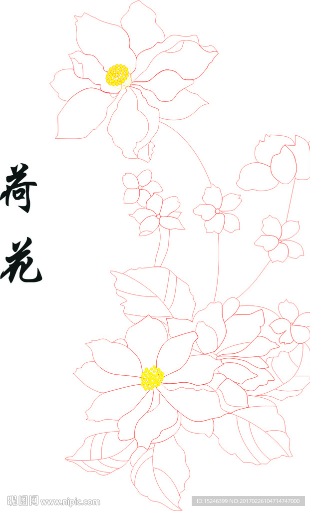 荷花
