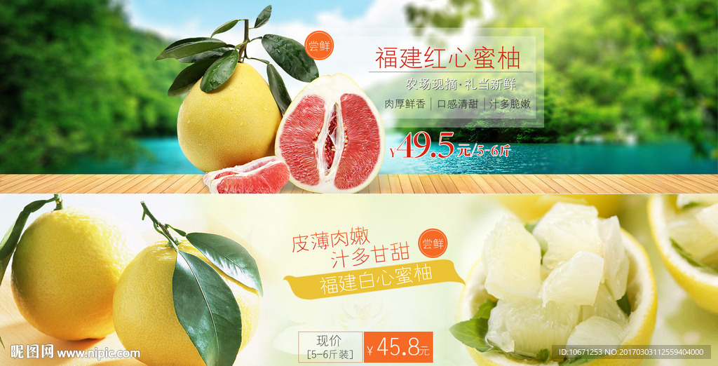 柚子banner