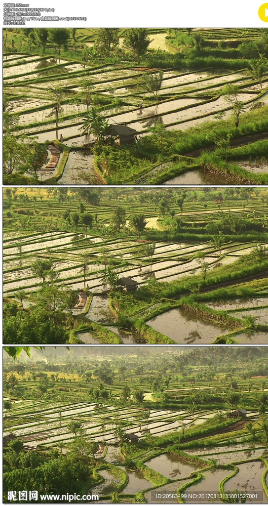 農業種田