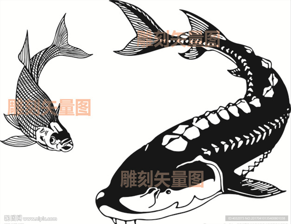 草鱼鲤鱼黑鱼雕刻矢量图