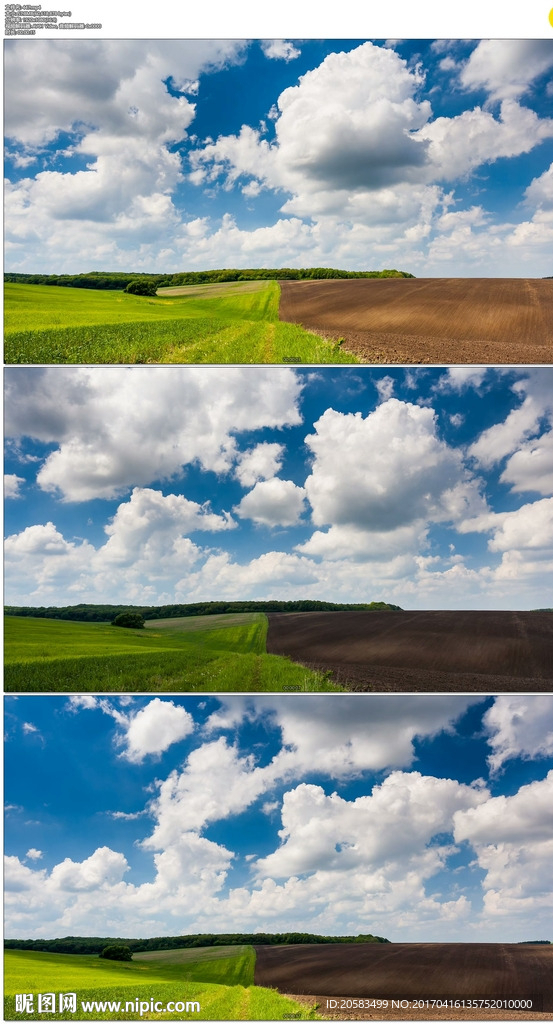 乌克兰绿色田野蓝天白云
