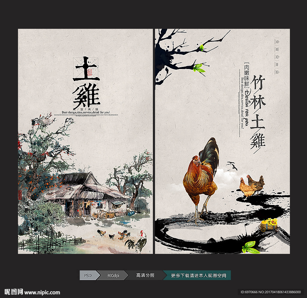 土雞