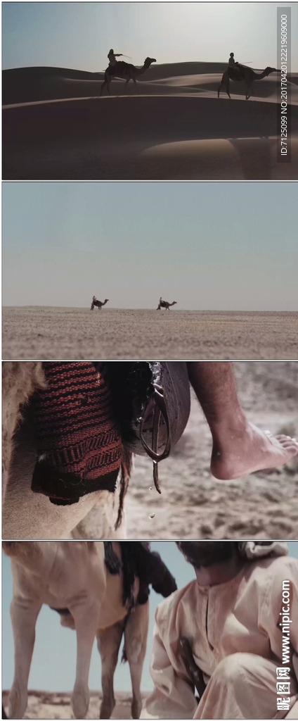 沙漠骆驼旅人