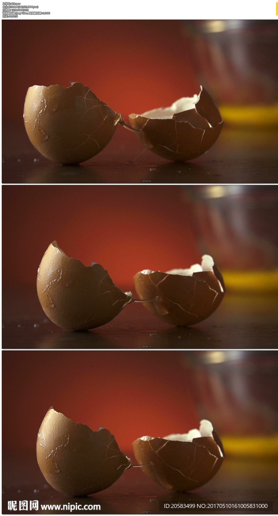 掉落破碎的鸡蛋壳