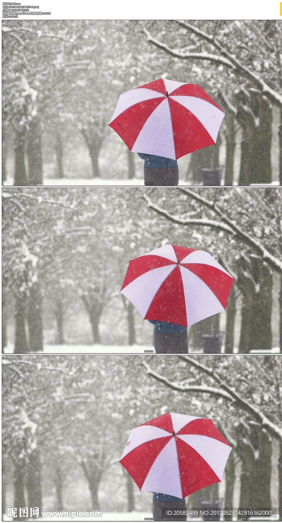 撑伞在雪花中慢步