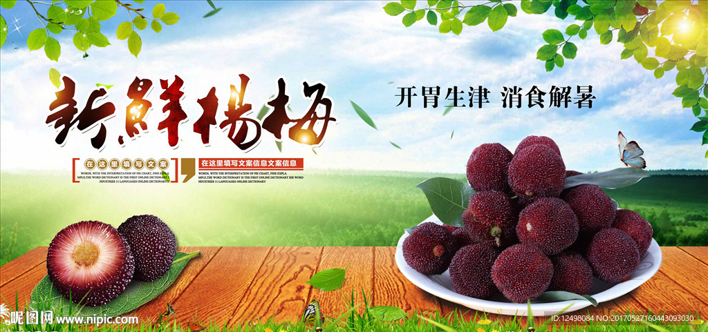 杨梅采摘图片