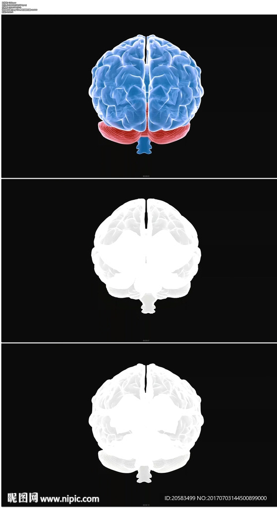 藍色轉動的大腦