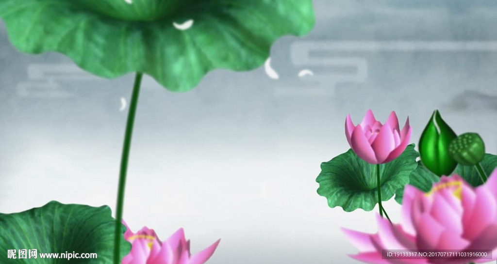 3D荷花視頻素材