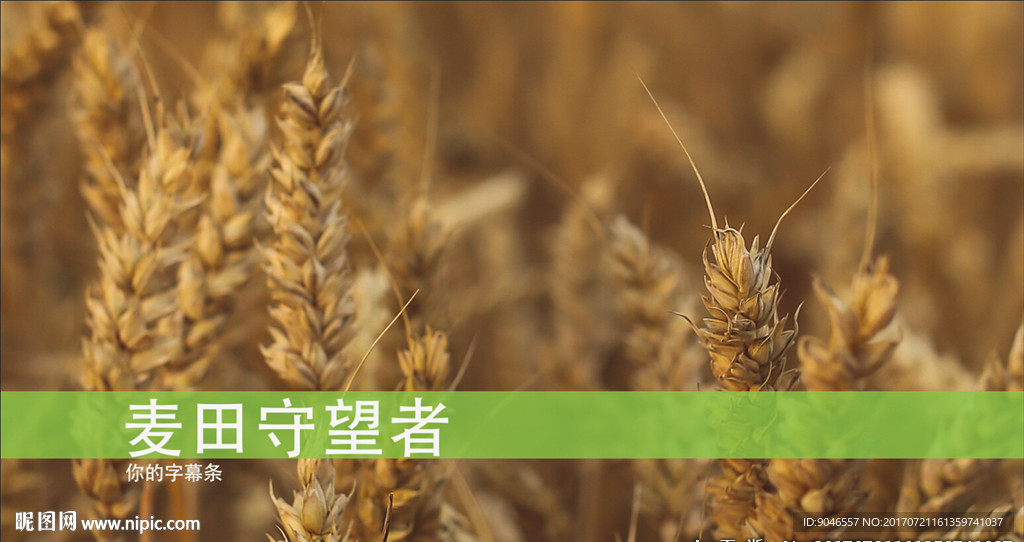 干凈簡(jiǎn)單字幕條