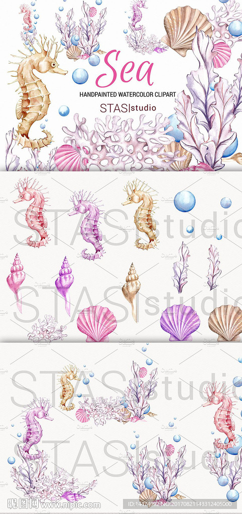 水彩手绘海洋植物海马