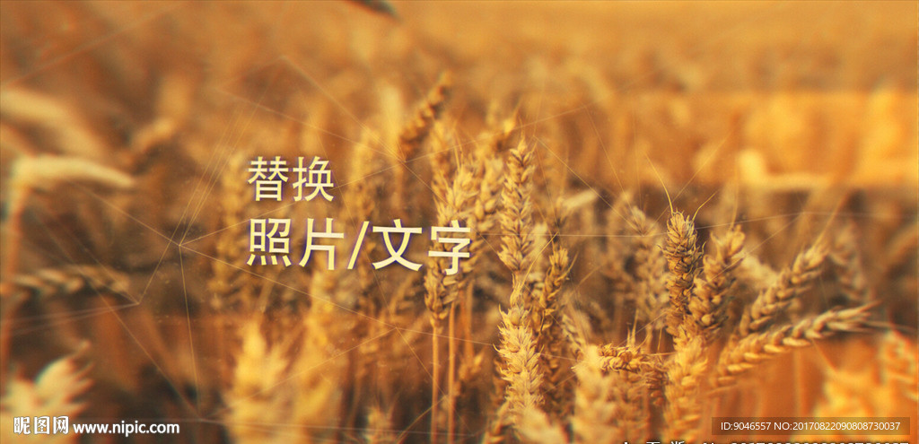 全景模式圖片展示