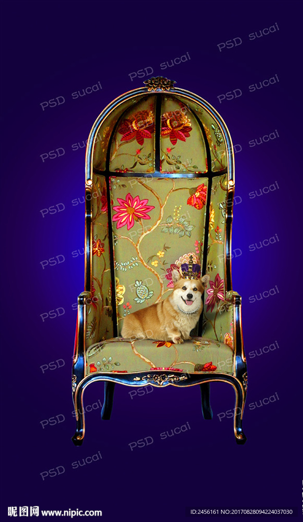 美式椅子上带皇冠的柯基犬
