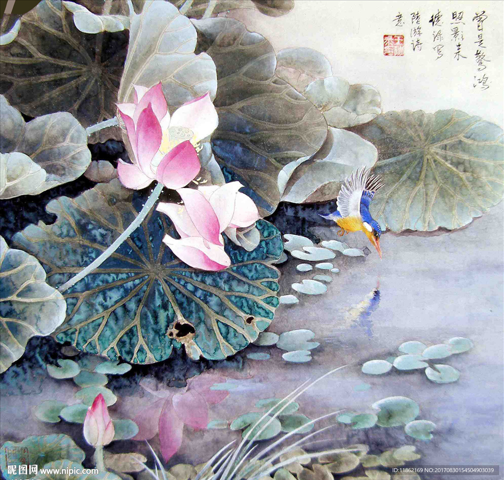荷花翠鳥畫高清分層帶原圖