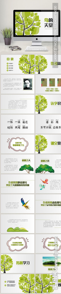 鳥的天堂四年級公開課課件PPT
