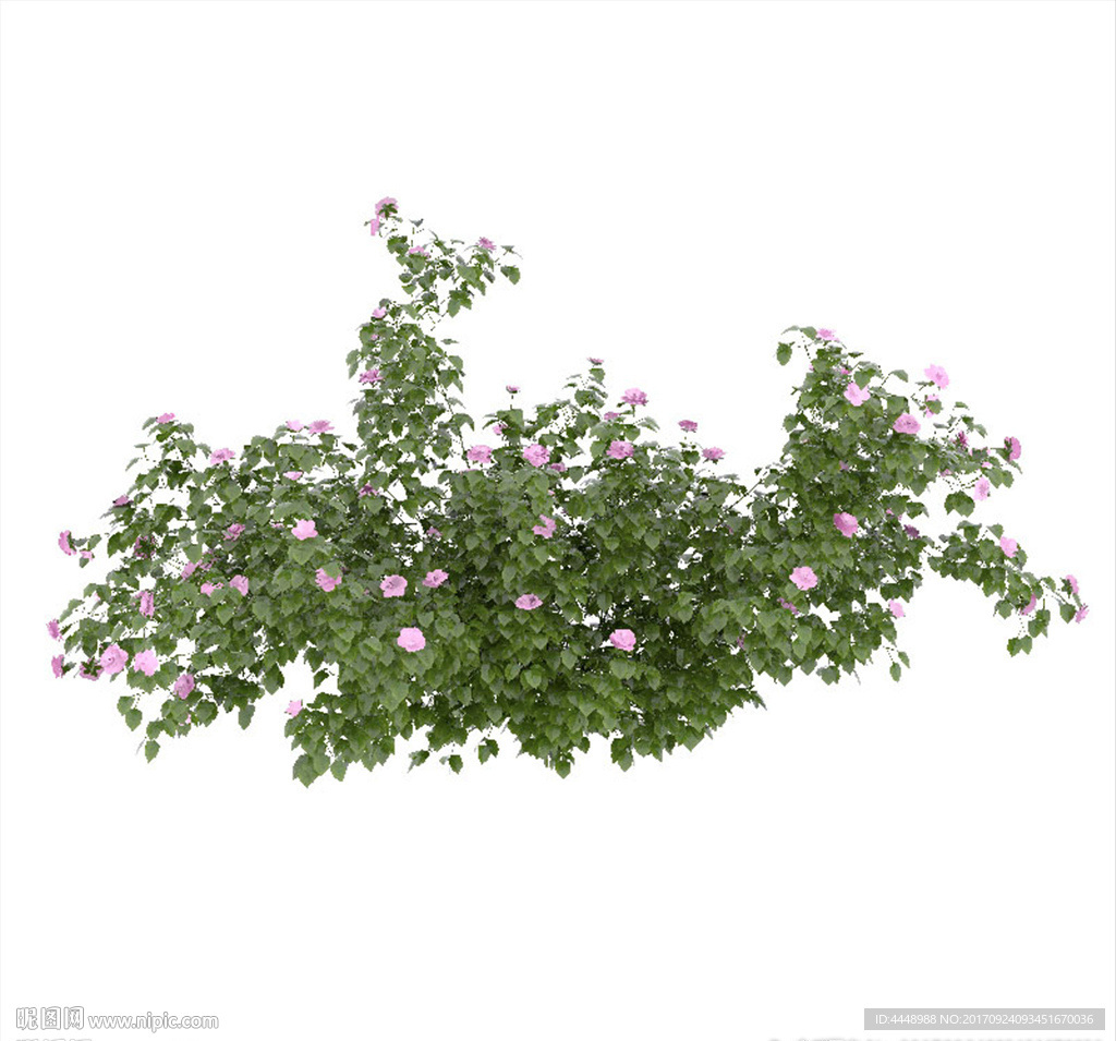 室外植物花丛模型