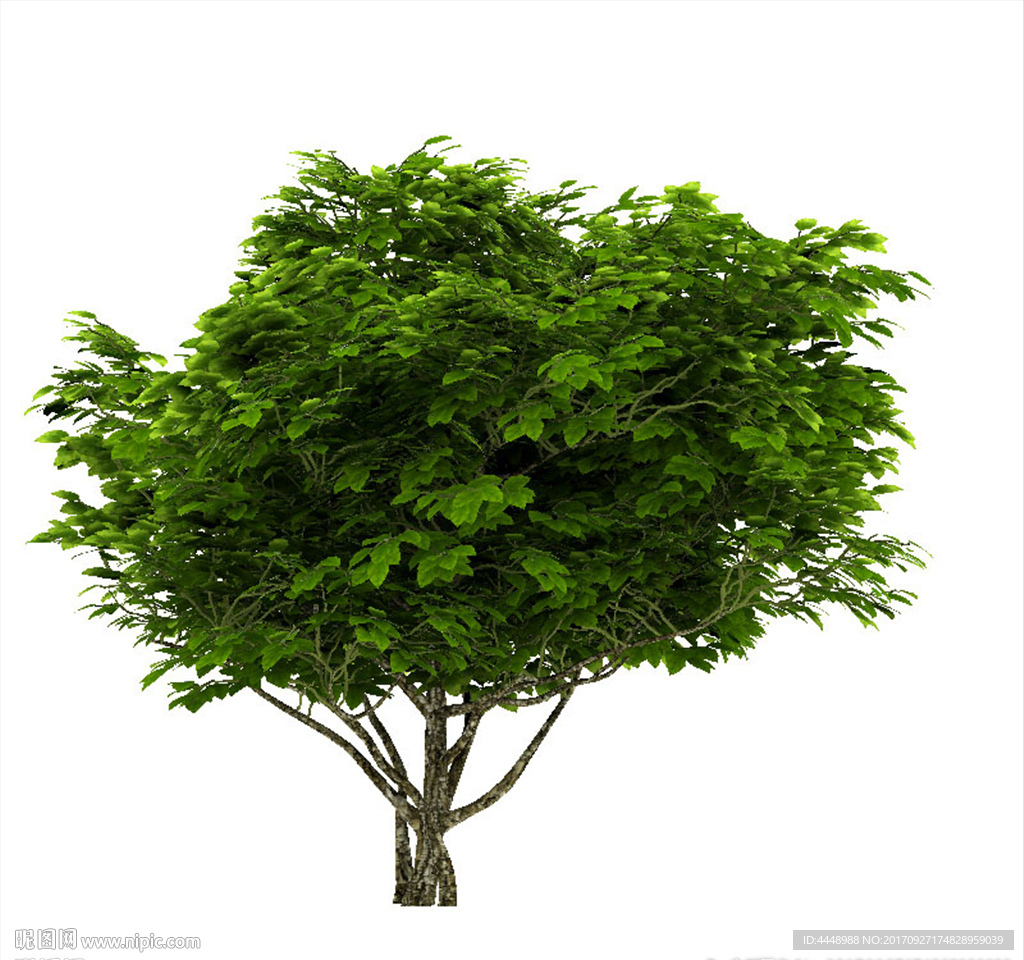 室外植物古树模型